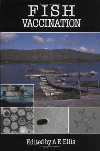 Fish vaccination