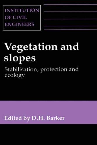 VEGETATION and slopes