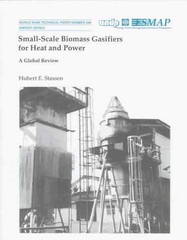 Small-Scale Biomass Gasifiers for Heat and Power
