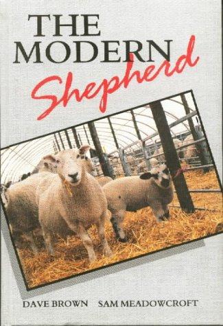 The modern shepherd