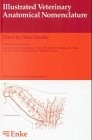 Illustrated Veterinary Anatomical Nomenclature
