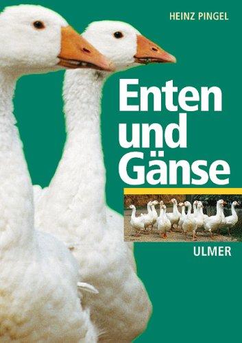 Enten und Ganse