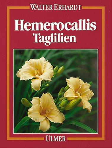 Hemerocallis Taglilien