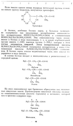 Биохимия зерна и хлеба