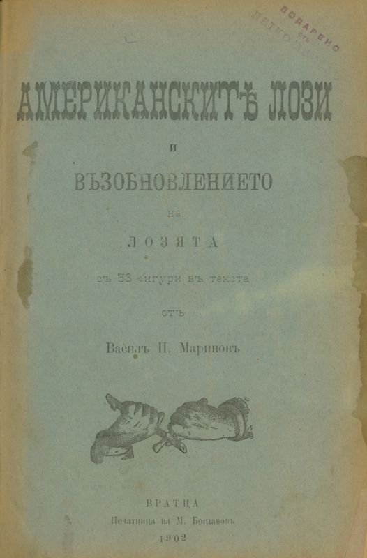 Американските лози и възобновлението на лозята